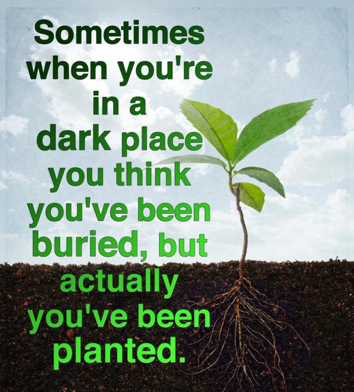Planted